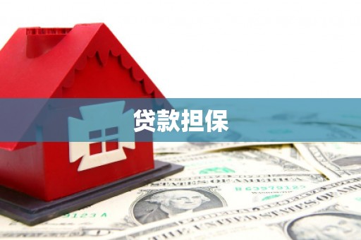 黄骅贷款担保