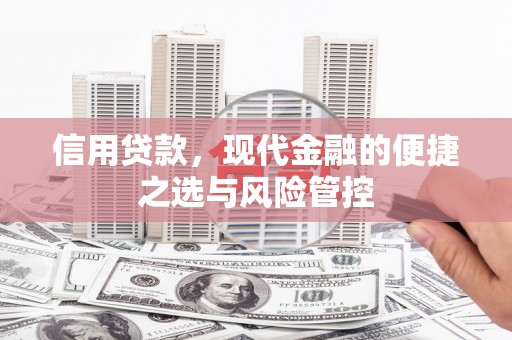 黄骅信用贷款，现代金融的便捷之选与风险管控