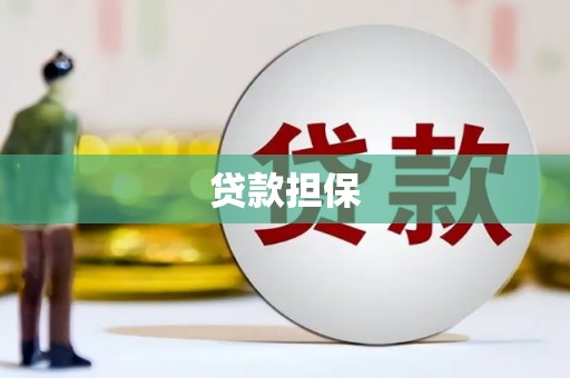 黄骅贷款担保