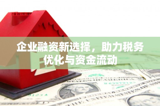 黄骅企业融资新选择，助力税务优化与资金流动