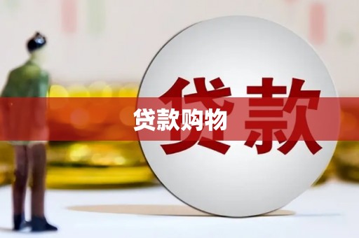 黄骅贷款购物