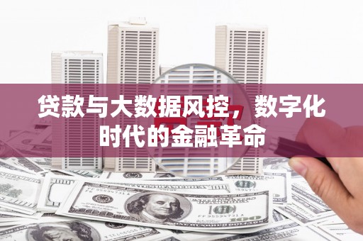 黄骅贷款与大数据风控，数字化时代的金融革命