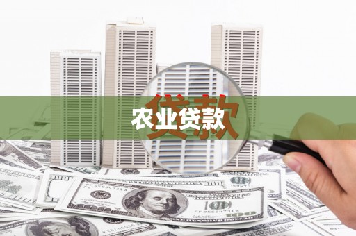 黄骅农业贷款