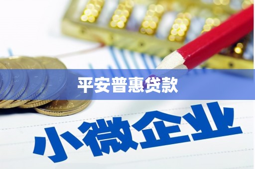 黄骅平安普惠贷款