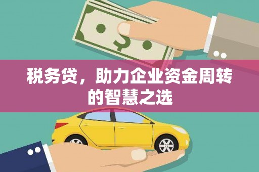 黄骅税务贷，助力企业资金周转的智慧之选