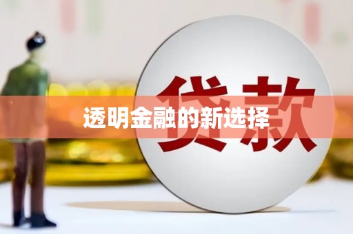 黄骅透明金融的新选择
