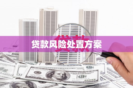 黄骅贷款风险处置方案