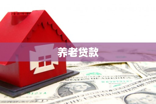 黄骅养老贷款