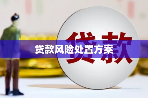 黄骅贷款风险处置方案