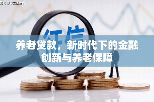 黄骅养老贷款，新时代下的金融创新与养老保障