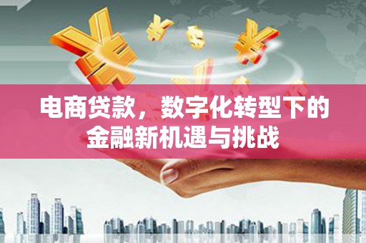 黄骅电商贷款，数字化转型下的金融新机遇与挑战