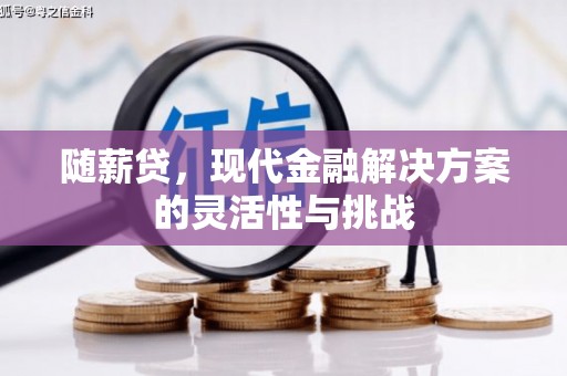 黄骅随薪贷，现代金融解决方案的灵活性与挑战