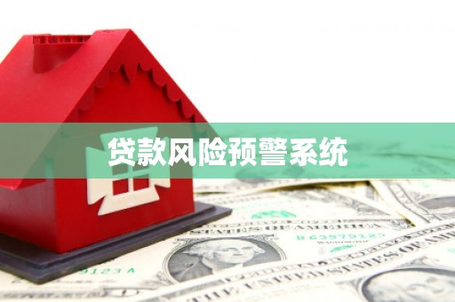 黄骅贷款风险预警系统