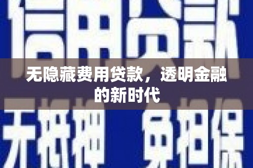黄骅无隐藏费用贷款，透明金融的新时代