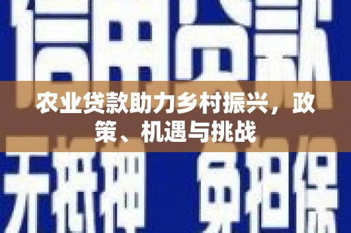 黄骅农业贷款助力乡村振兴，政策、机遇与挑战