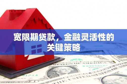黄骅宽限期贷款，金融灵活性的关键策略