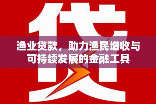 黄骅渔业贷款，助力渔民增收与可持续发展的金融工具