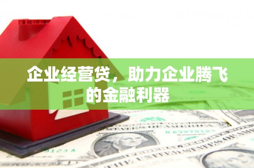 黄骅企业经营贷，助力企业腾飞的金融利器