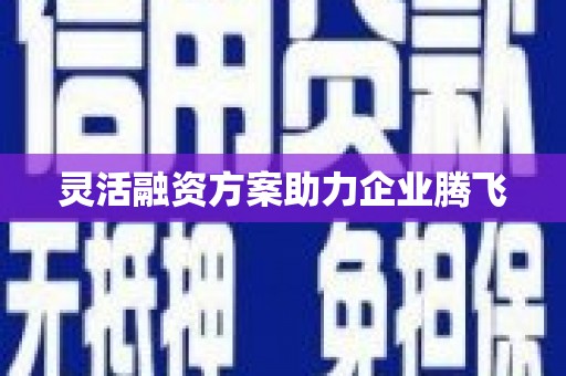 黄骅灵活融资方案助力企业腾飞