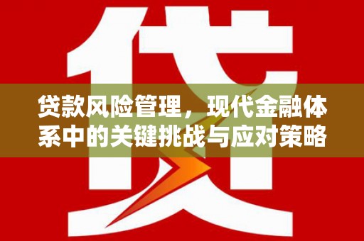 黄骅贷款风险管理，现代金融体系中的关键挑战与应对策略