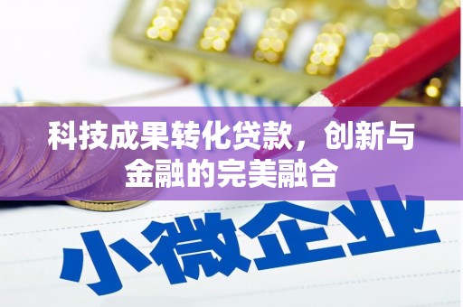 黄骅科技成果转化贷款，创新与金融的完美融合