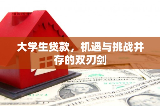 黄骅大学生贷款，机遇与挑战并存的双刃剑
