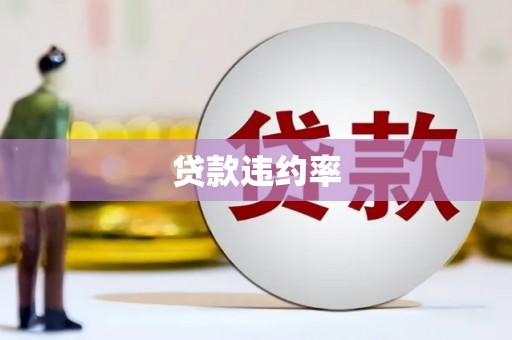 黄骅贷款违约率