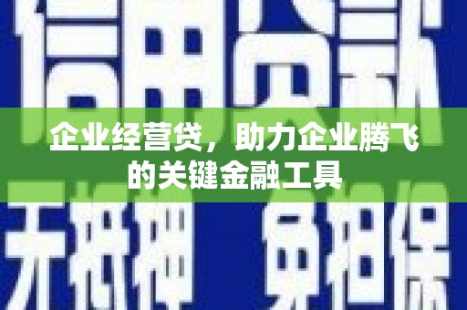 黄骅企业经营贷，助力企业腾飞的关键金融工具