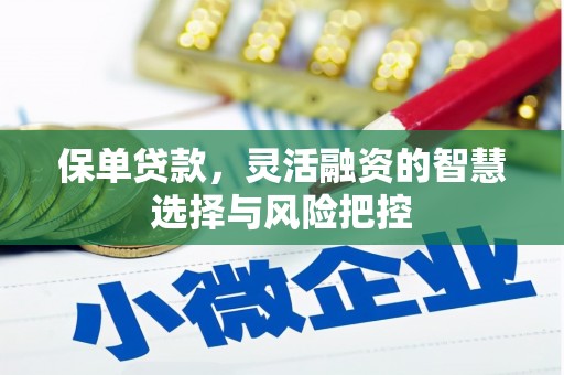 黄骅保单贷款，灵活融资的智慧选择与风险把控