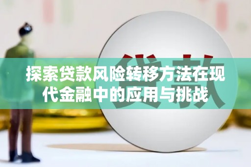 黄骅探索贷款风险转移方法在现代金融中的应用与挑战