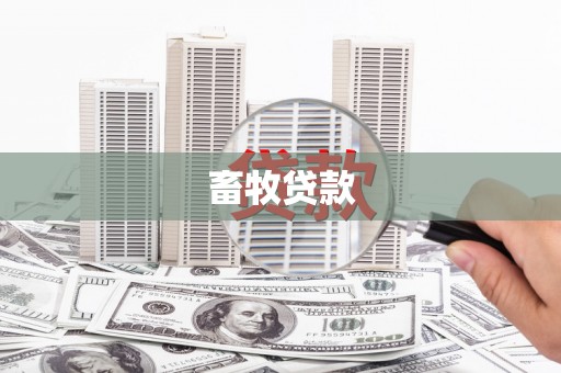 黄骅畜牧贷款