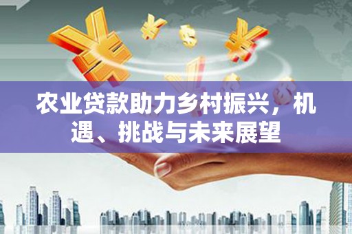 黄骅农业贷款助力乡村振兴，机遇、挑战与未来展望
