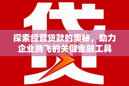 黄骅探索经营贷款的奥秘，助力企业腾飞的关键金融工具