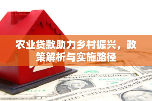 黄骅农业贷款助力乡村振兴，政策解析与实施路径