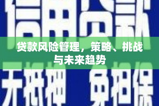 黄骅贷款风险管理，策略、挑战与未来趋势