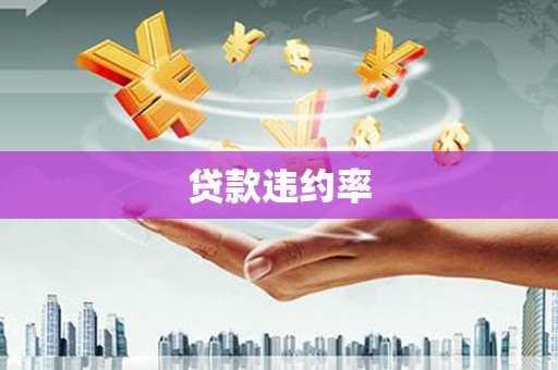 黄骅贷款违约率