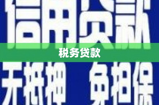 黄骅税务贷款