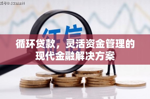 黄骅循环贷款，灵活资金管理的现代金融解决方案