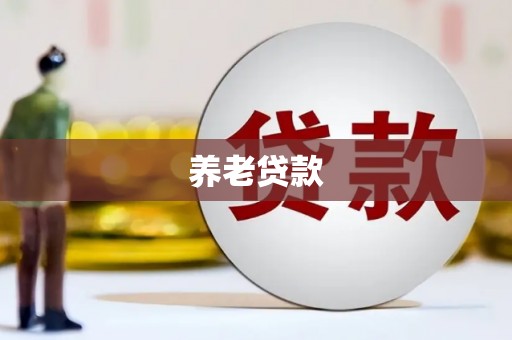 黄骅养老贷款