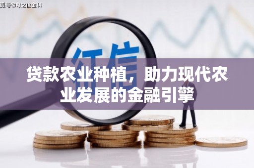 黄骅贷款农业种植，助力现代农业发展的金融引擎