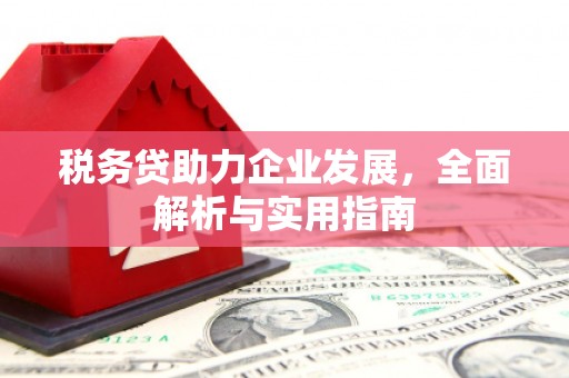 黄骅税务贷助力企业发展，全面解析与实用指南