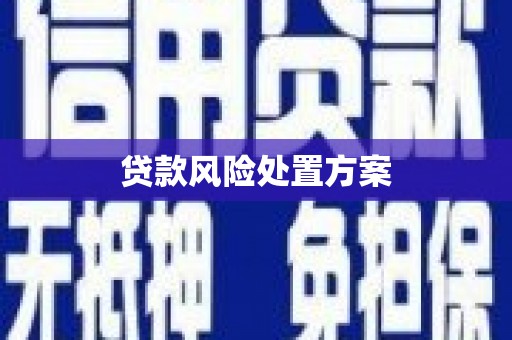 黄骅贷款风险处置方案