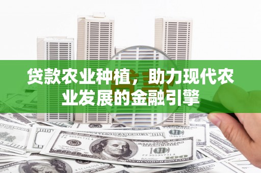 黄骅贷款农业种植，助力现代农业发展的金融引擎