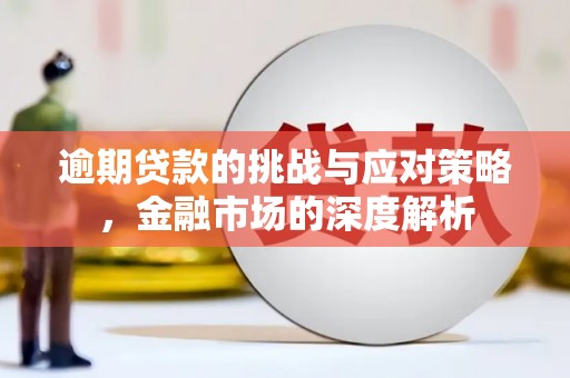 黄骅逾期贷款的挑战与应对策略，金融市场的深度解析