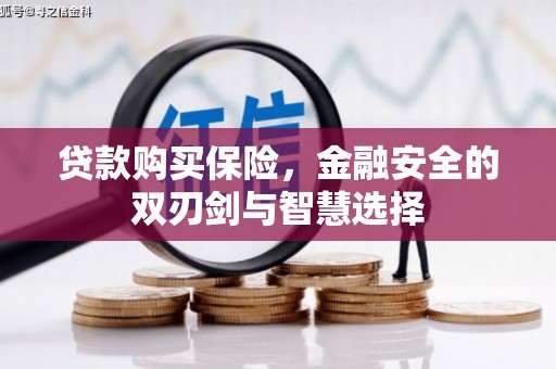 黄骅贷款购买保险，金融安全的双刃剑与智慧选择