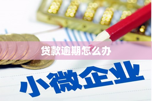 黄骅贷款逾期怎么办