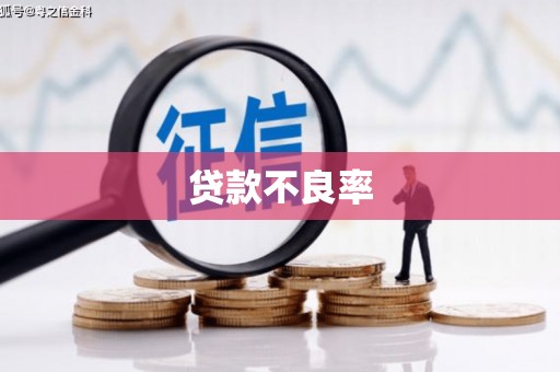 黄骅贷款不良率