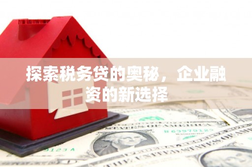 黄骅探索税务贷的奥秘，企业融资的新选择