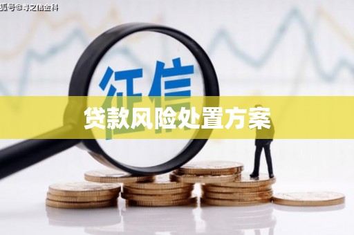 黄骅贷款风险处置方案