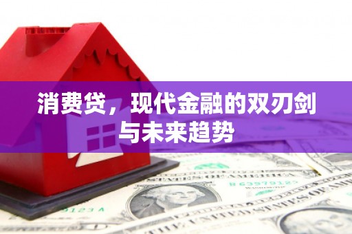 黄骅消费贷，现代金融的双刃剑与未来趋势